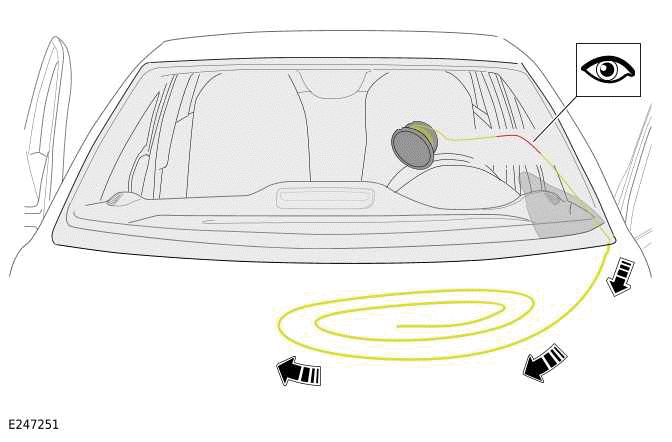 Windshield